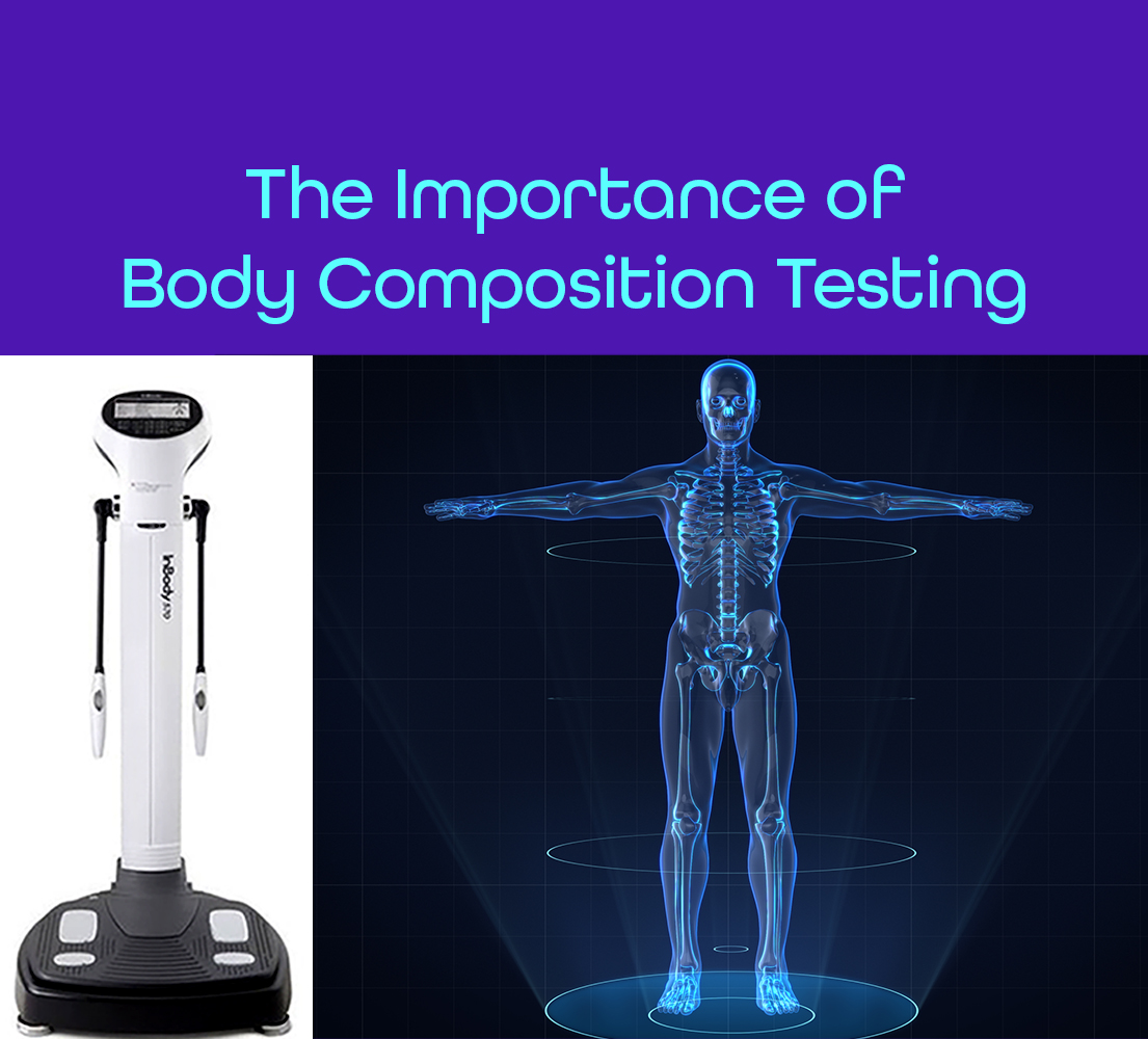 a picture of a scale, a body scanning silhouette and the title "The Importance of Body Composition Testing"